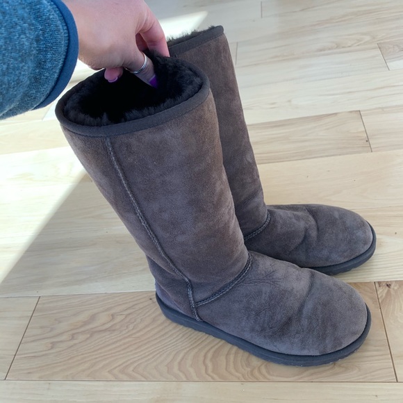 UGG Shoes - Tall brown UGG boots